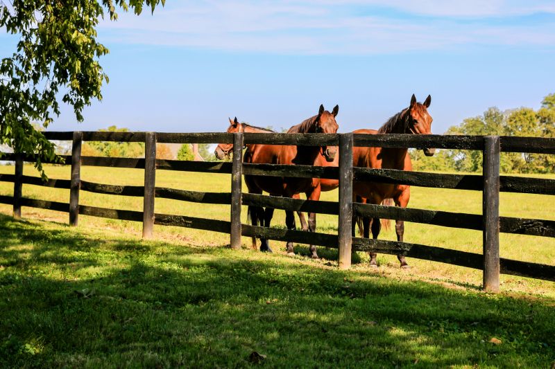 Ranch Style Wooden Fence
